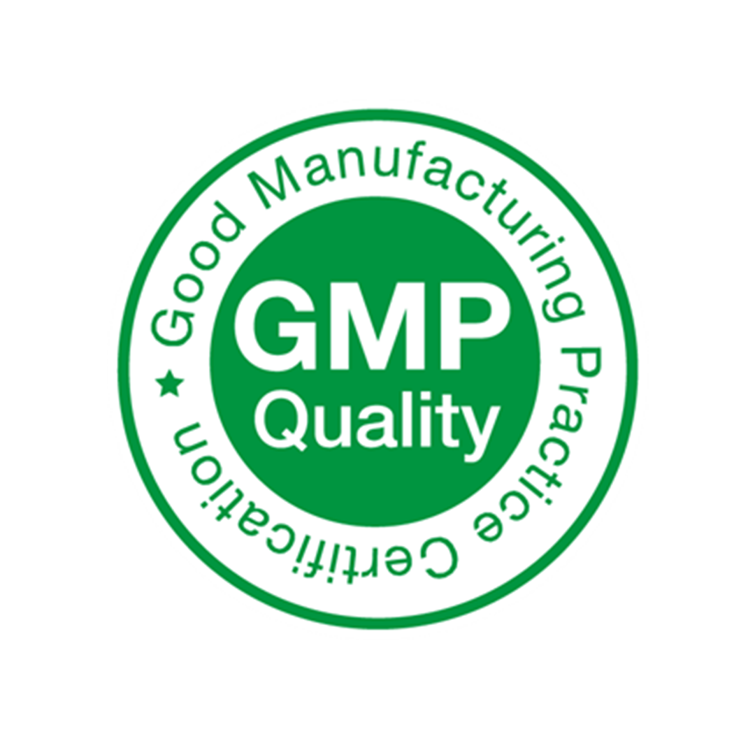 GMP Logo