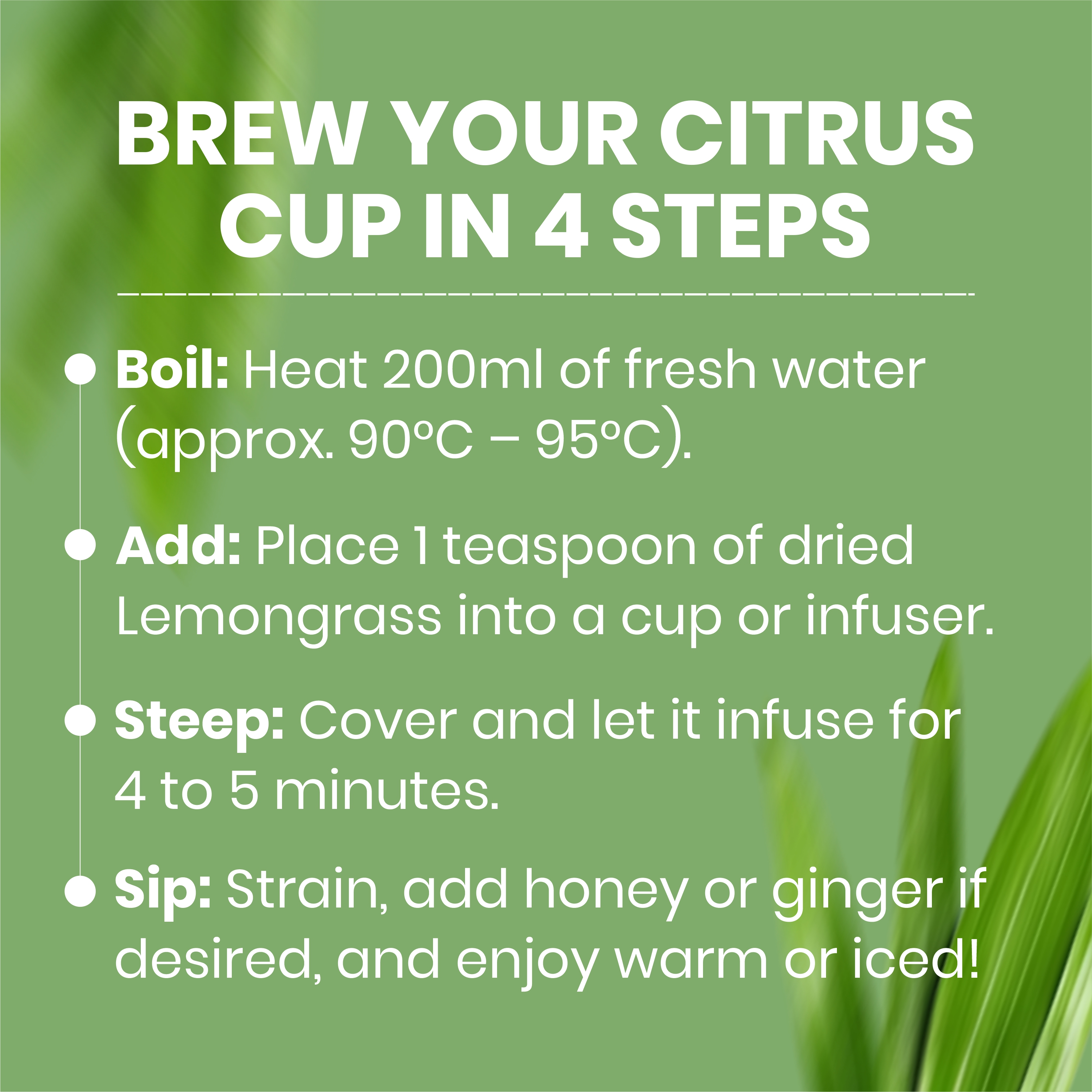 Lemongrass Ginger Herbal Infusion thumbnail 5