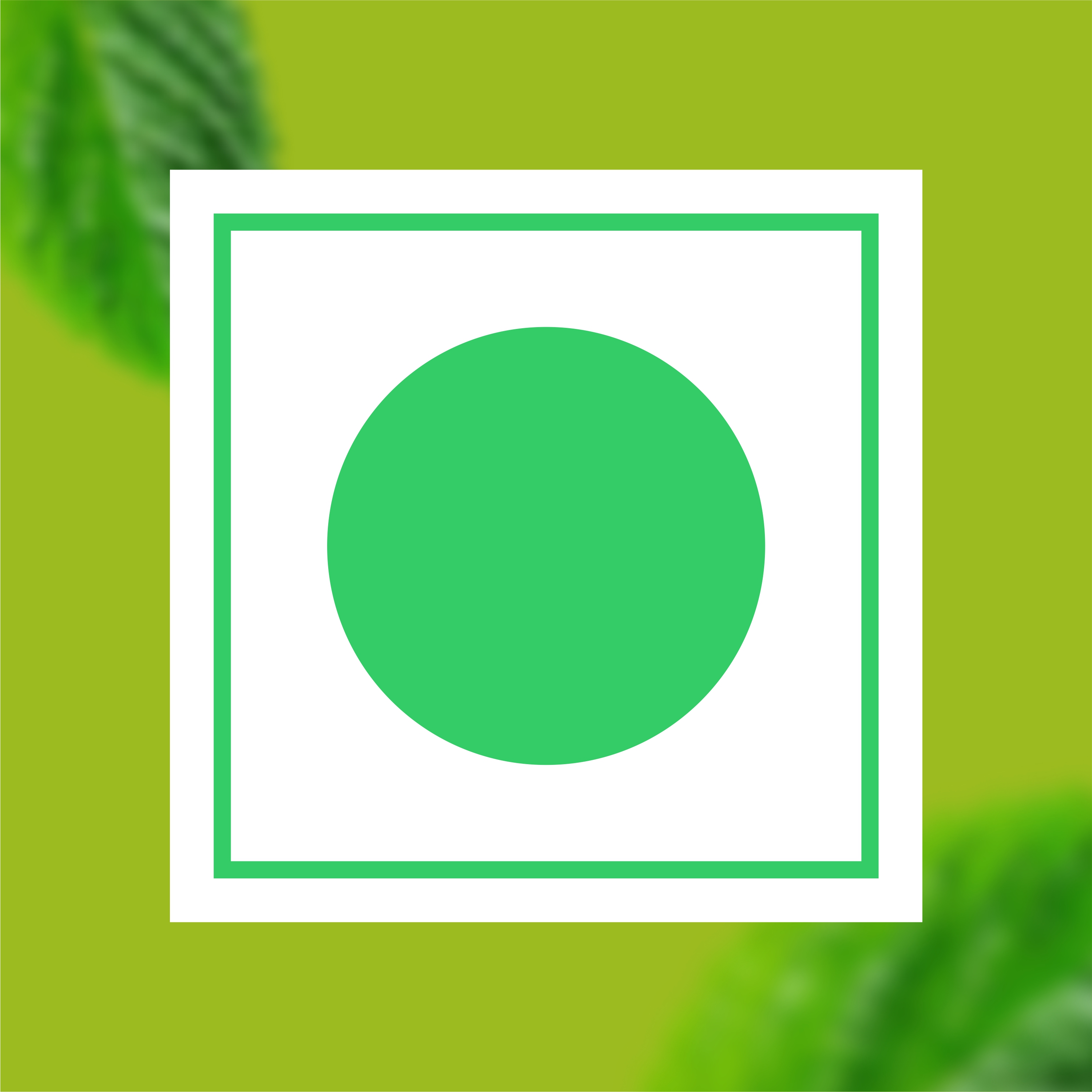 Spearmint Peppermint Herbal Infusion thumbnail 9