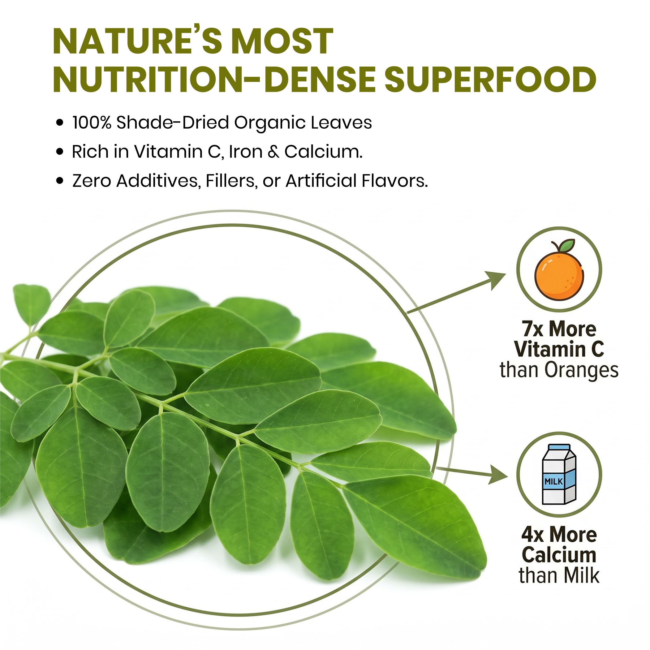 Moringa Leaf Botanical Infusion thumbnail 6