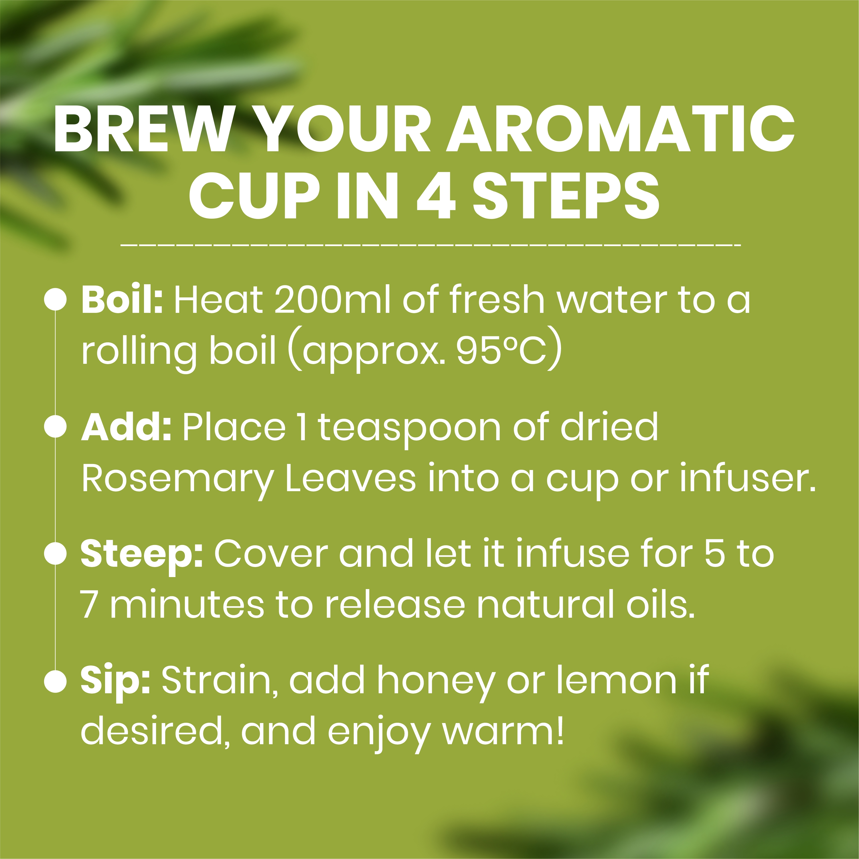 Rosemary Leaf Botanical Infusion thumbnail 6